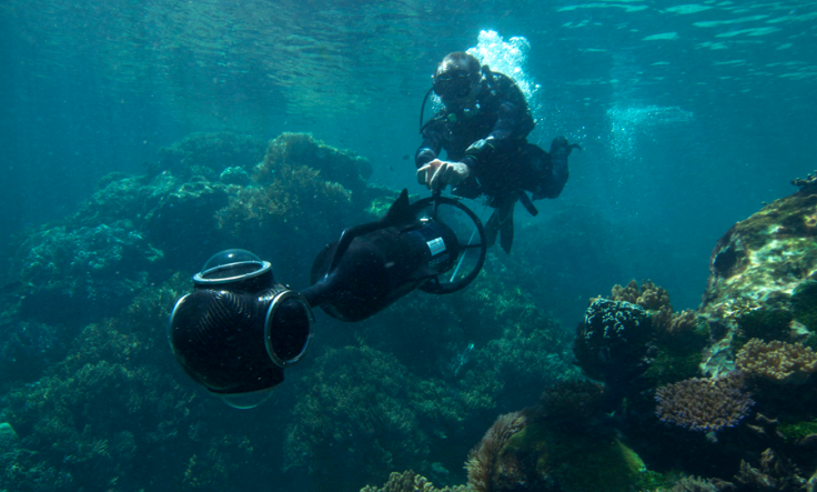 Coral Reef: Underwater Sample Imagery