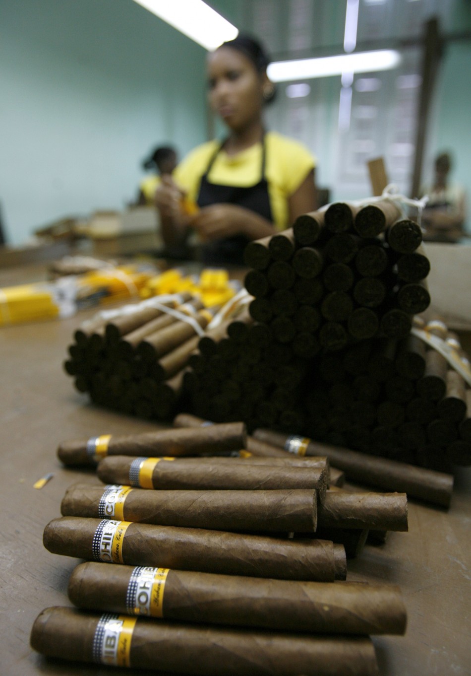 Cigars ready to be packed in boxes
