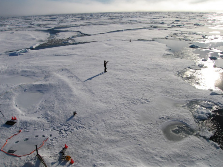 Melting arctic sea