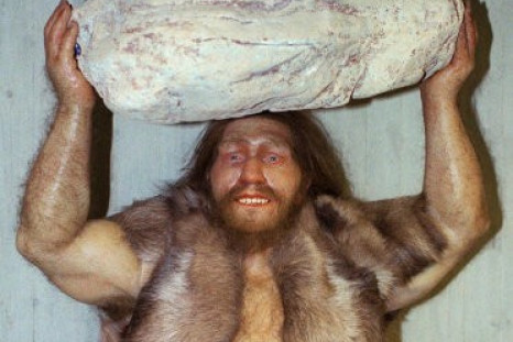 Neanderthals Were Extinct Even Before The Arrival Of Modern Humans