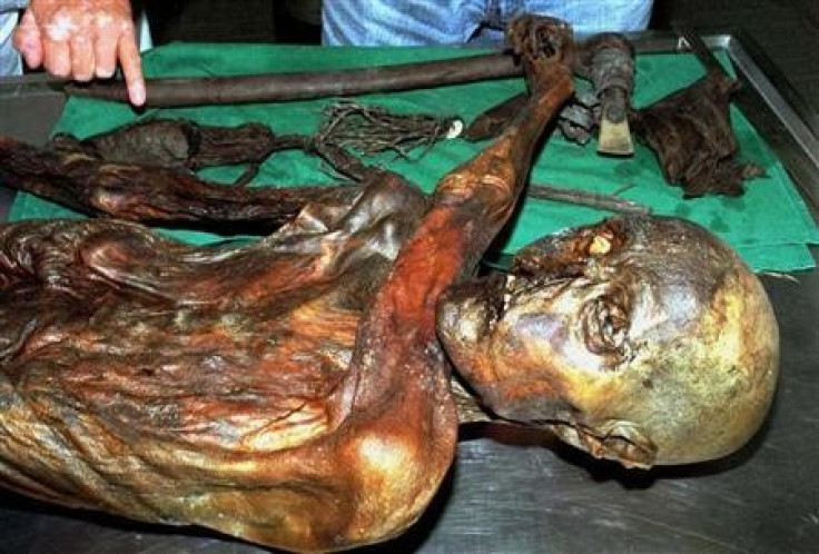 An undated handout file photo shows ''Otzi'', Italy's prehistoric iceman.