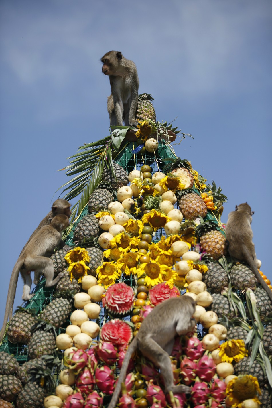 The Lopburi Monkey Festival