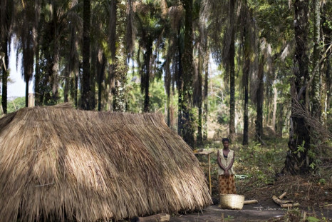 A woman who fled attacks by Ugandan LRA rebels stands outside a makeshift shelter at Ngalima in northeastern Congo