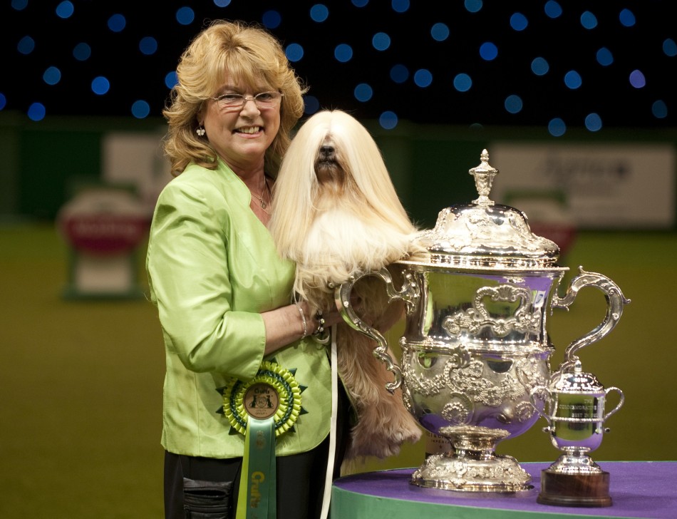 Crufts 2012: Best in Show [Slideshow]