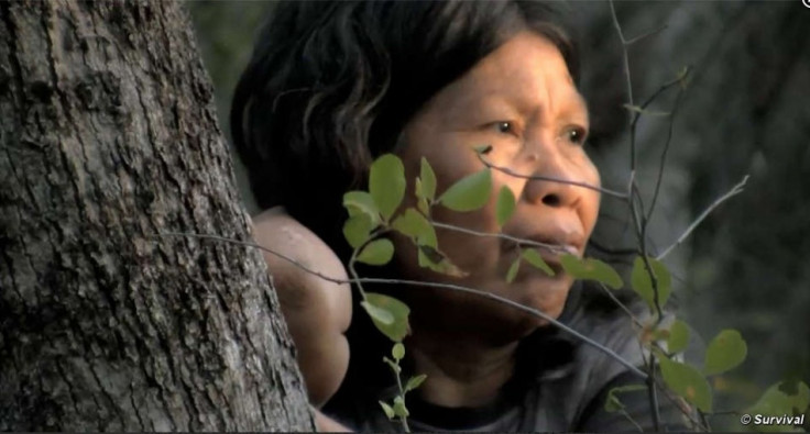 Ayoreo woman. Her uncontacted relatives are under threat from logging.