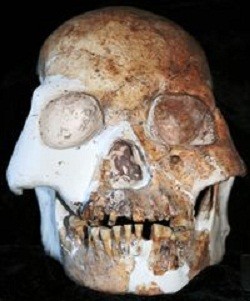 Stone Age People Fossils Gives More Clues Human Evolution