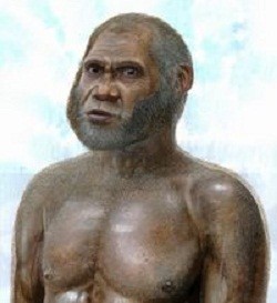Stone Age People Fossils Gives More Clues Human Evolution