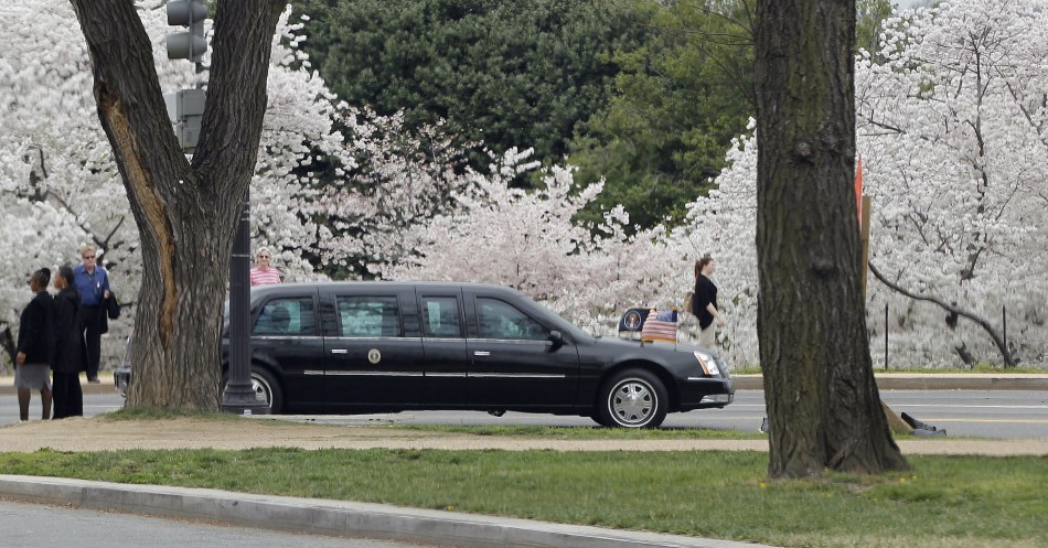 U.S. President Barack Obama039s limousine passes Cherry Blossoms as his motorcade drives from the U.S. Capitol to the White House following a lunch in commemoration of St Patrick039s Day in Washington