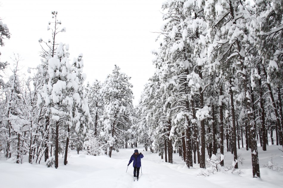 Rose Houk cross-country skies through Thorpe Park as several inches of snow cover the ground in Flagstaff