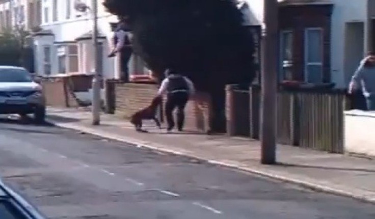 Video shows the dog attacked the police officers in east London (Youtube/xBASSxMONSTAx)