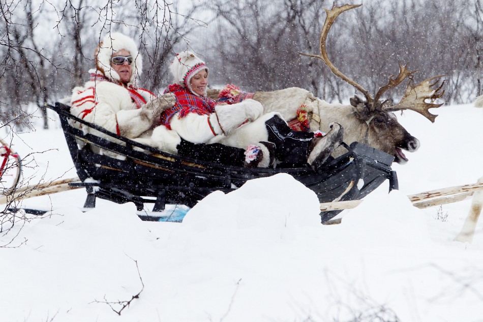 Prince Albert II, Princess Charlene Enjoys a Reindeer Sledge Ride