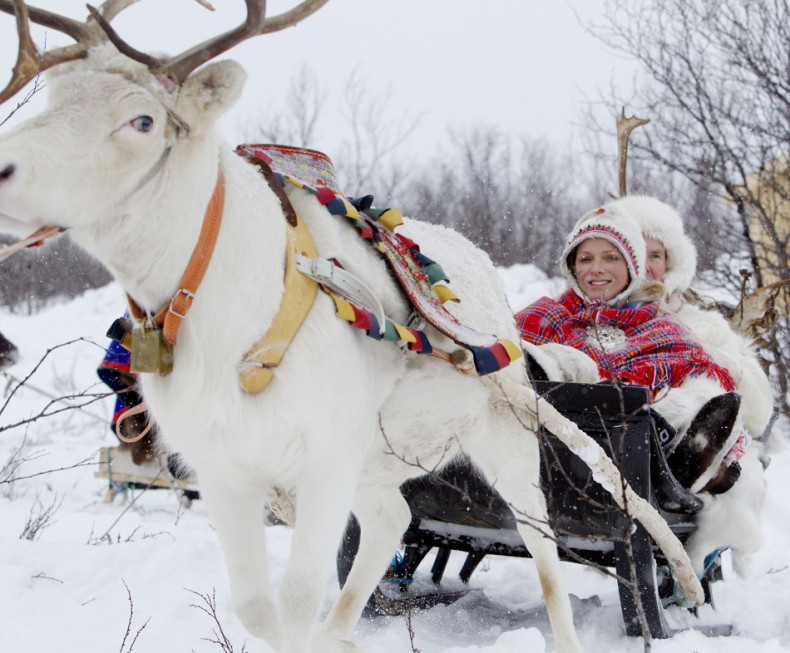 Prince Albert II, Princess Charlene Enjoys a Reindeer Sledge Ride
