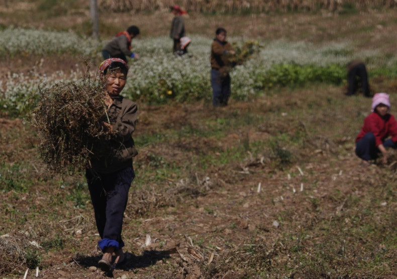 North Korea relies on food aid to feed its population
