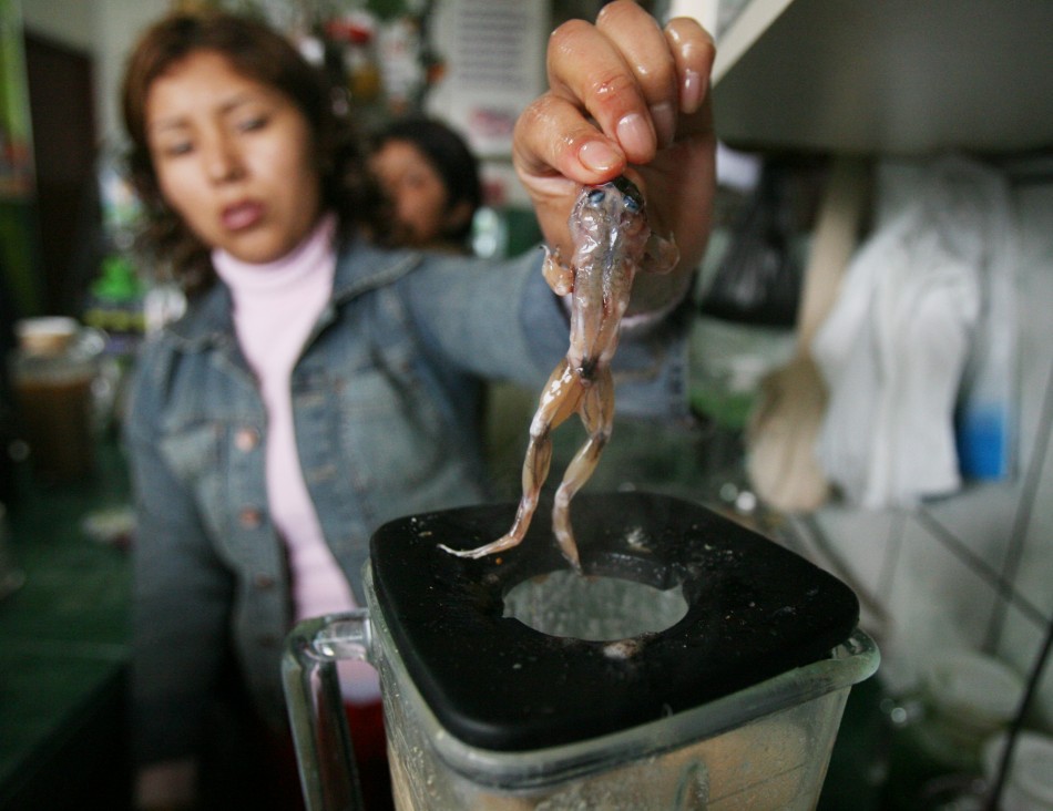 A skinned frog is dropped into a blender to make a drink popular with working-class Peruvians in Lima