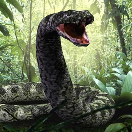 Monstrous 48 Foot Snake Related to Boa Constrictors Brought Back to Life
