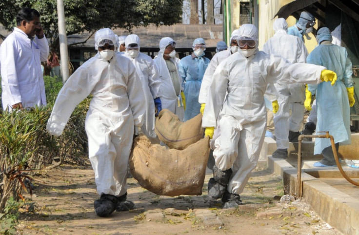 Current strain of H5N1 virus, or bird flu, not easily passed between humans