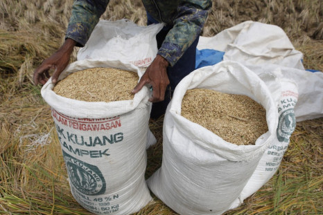 GrainCorp Ltd. could be up for a possible $3 billion takeover by US giant Archer Daniel Midlands Co. (ADM) after the latter seized up a 10 per cent controlling stake in Australia's largest listed grain trader.