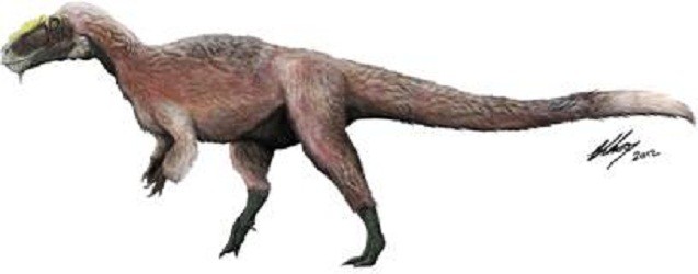 New Species of T-Rex Discovered