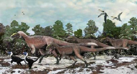 New Hairy Species of T-Rex Discovered