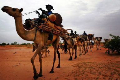 Ethnic Tuareg