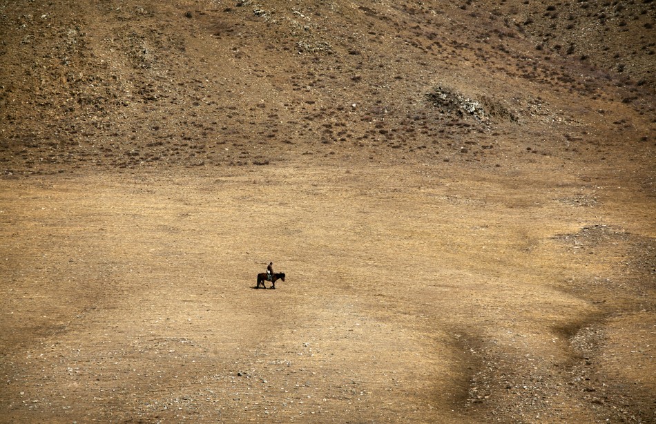 A herder rides a horse on grasslands located around 200km 62 miles south-west of the Mongolian capital city Ulan Bator