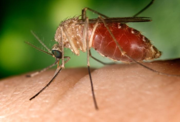Malaria Deaths Is likely To Increase