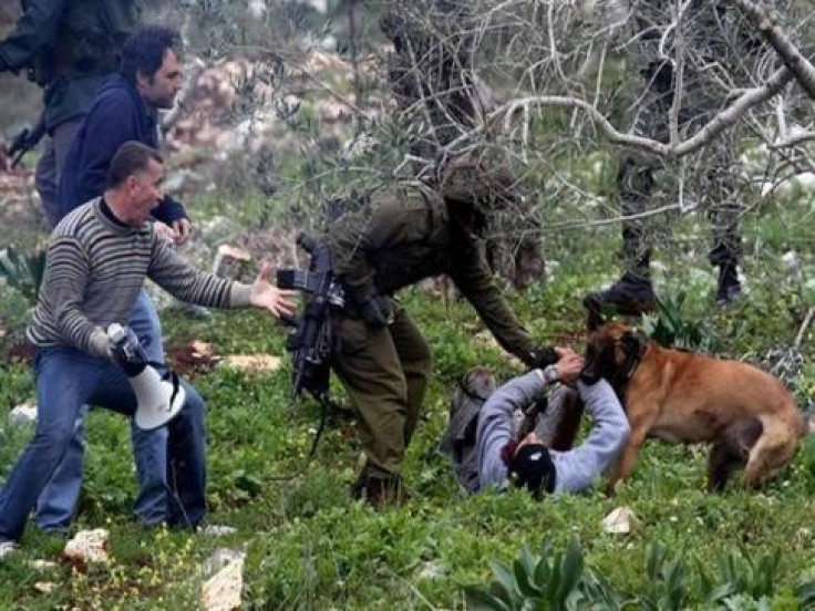 Army dog attacking a protester at the  Kafr Qaddum village