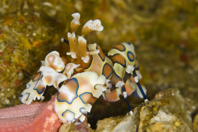 Spectacular Underwater Images by 2012 Miami Amateur Photography Contest Winners Spectacular Underwater Images by 2012 Miami Amateur Photography Contest Winners