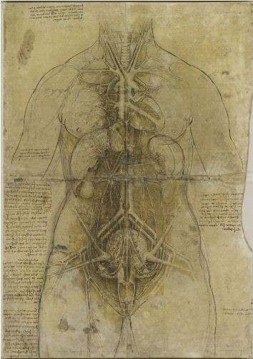 Leonardo da Vinci's Rare and Futuristic Anatomy Drawings Go Public for