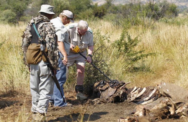 Members of the Pilanesberg National Park Anti-Poaching Unit (APU) stand guard as conservationists and police investigate the scene of a rhino poaching incident April 19, 2012.