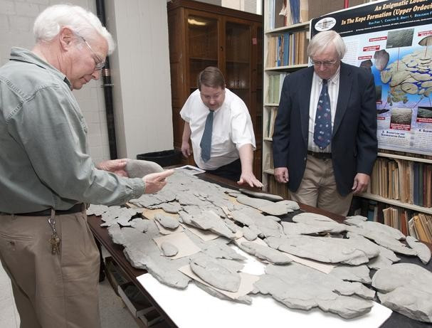 fossil