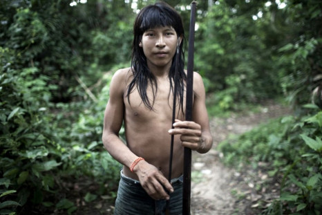 Awá, ‘Earth’s Most Threatened Tribe’