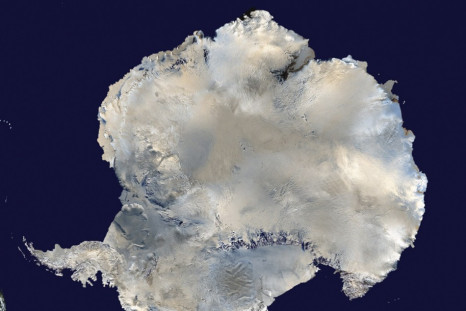 Antarctic Glaciers