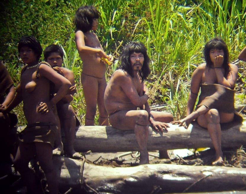 Controversial Road through Peruvian Amazon May Slash Uncontacted Tribes&apo...