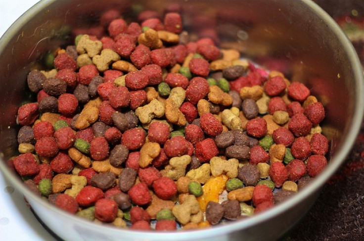 An outbreak of a rare strain of salmonella poisoning linked to dog food has infected at least 14 people in nine states, the Centers for Disease Control (CDC) and Prevention said.