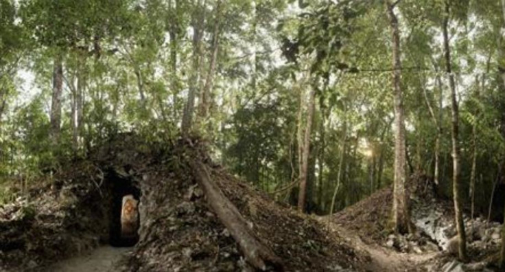 Trees grow atop the newly discovered house built by the ancient Maya that contains the rendering of an ancient figure, possibly the town scribe. REUTERS/Tyrone Turner/National Geographic/Handout