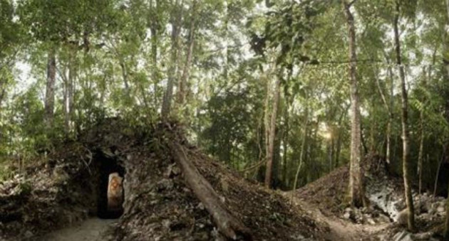 Trees grow atop the newly discovered house built by the ancient Maya that contains the rendering of an ancient figure, possibly the town scribe. REUTERS/Tyrone Turner/National Geographic/Handout Trees grow atop the newly discovered house built by the ancient Maya that contains the rendering of an ancient figure, possibly the town scribe. REUTERS/Tyrone Turner/National Geographic/Handout