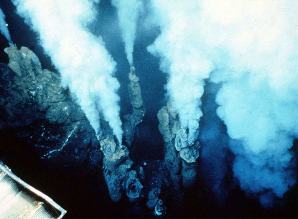 Fastest Growth Of Underwater Volcanoes Documented At Monowai PICTURES 