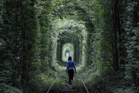 Unused Railway Track in Ukraine Forms into ‘Tunnel of Love’