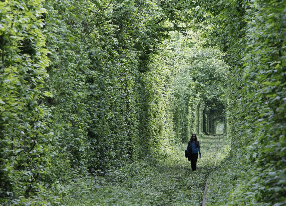 Unused Railway Track in Ukraine Forms into Tunnel of Love