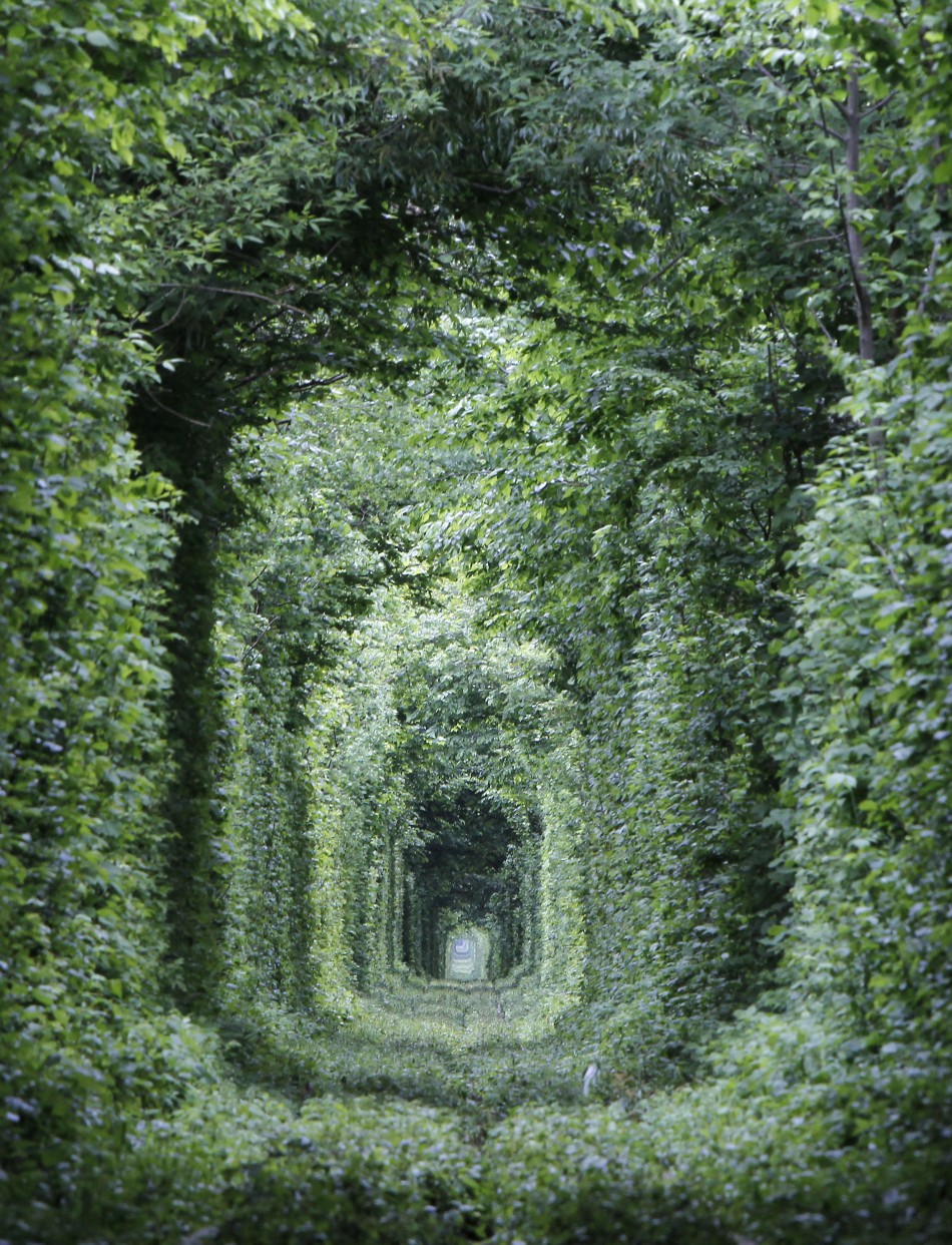 Unused Railway Track in Ukraine Forms into Tunnel of Love