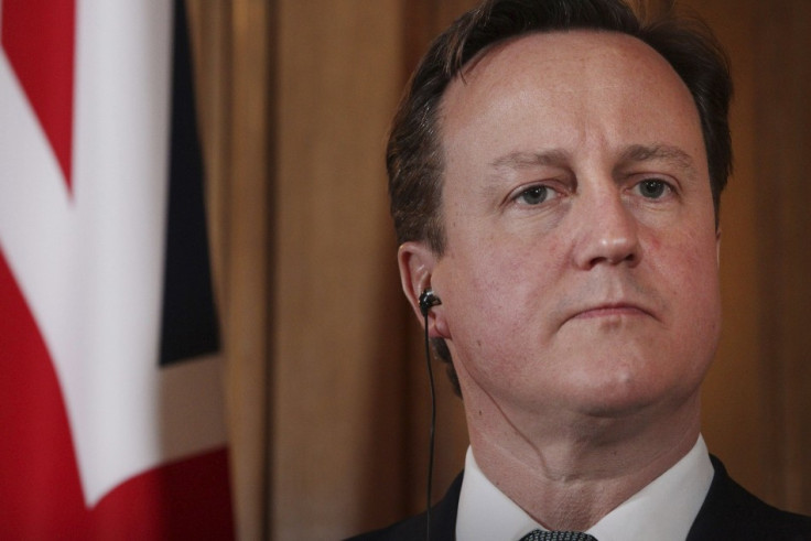 David Cameron signals possibility of EU referendum