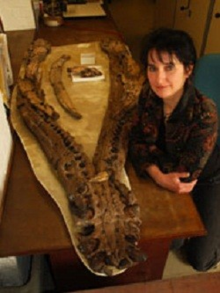 Pliosaurus: Lochness Monster-Like Animal Also Had Arthritis Problem