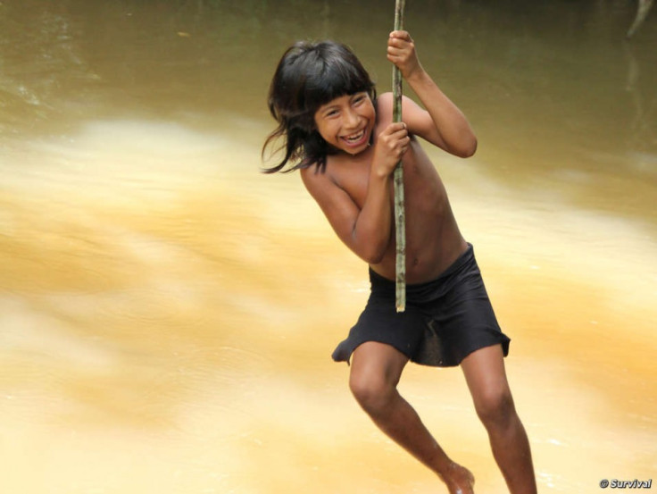 World’s Most Threatened Awá tribe Outnumbered 10:1 by Invaders World’s Most Threatened Awá tribe Outnumbered 10:1 by Invaders