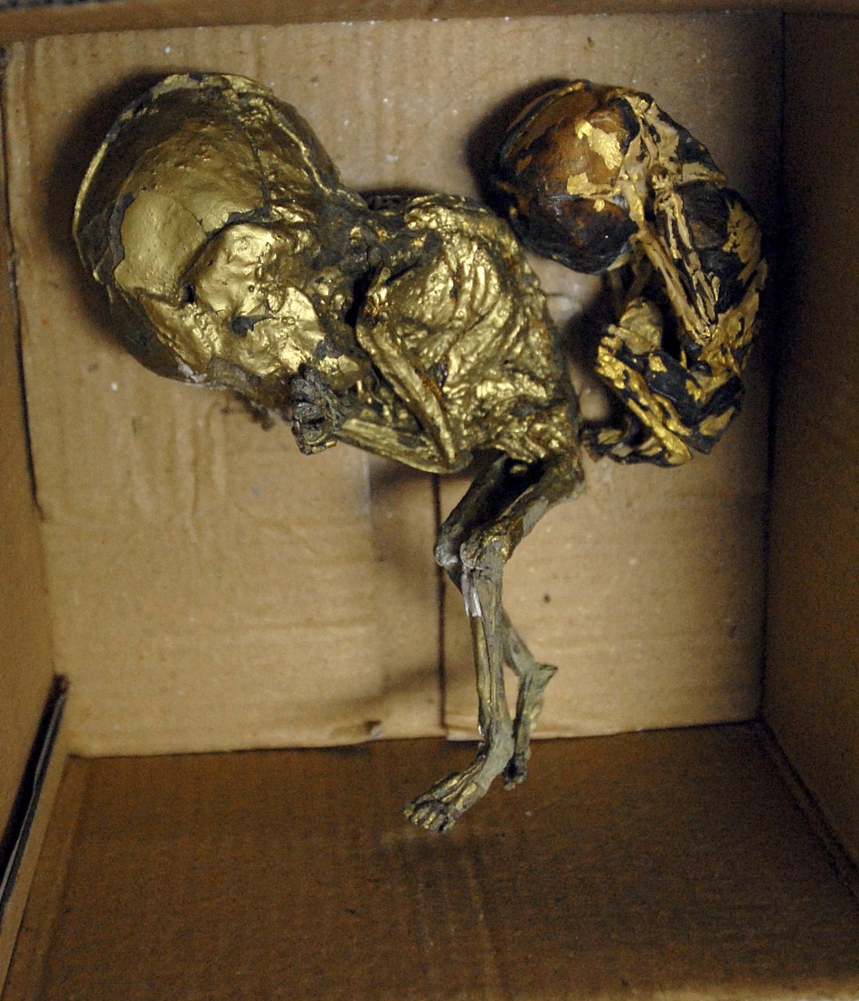 Foetuses Wrapped in Gold Foil for Black Magic Seized in 