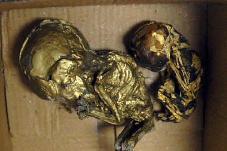Foetuses Wrapped in Gold Foil for Black Magic Seized in Thailand