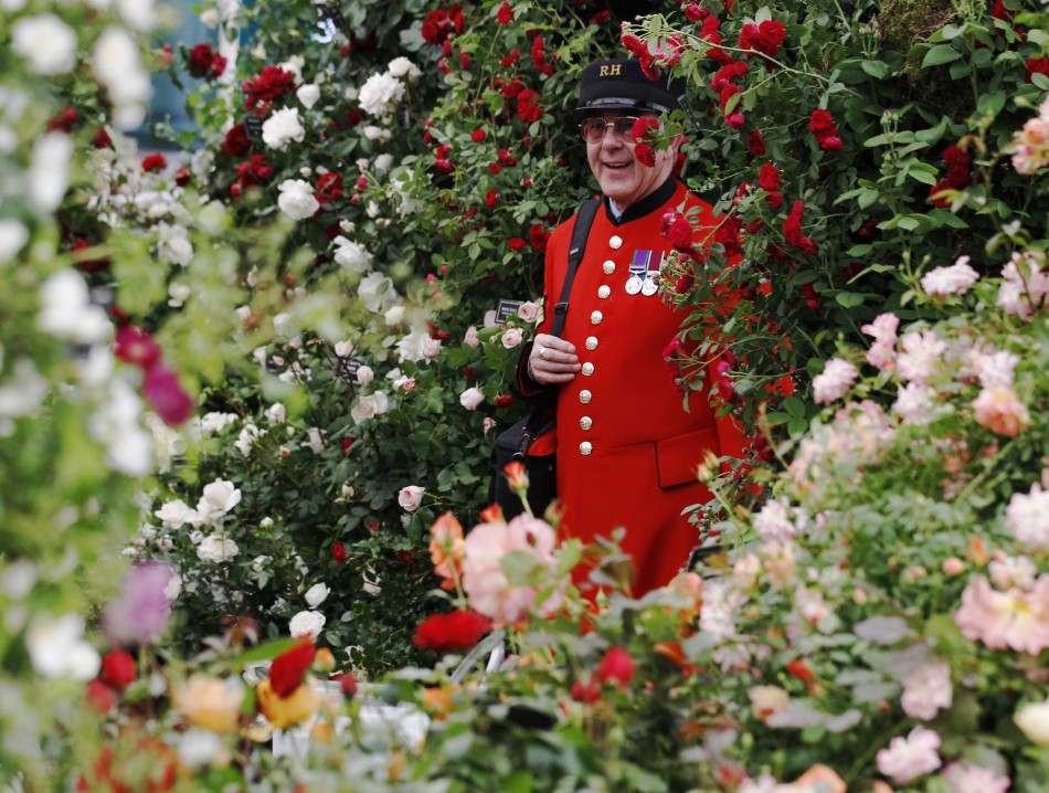 Spectacular Displays at 2012 Chelsea Flower Show