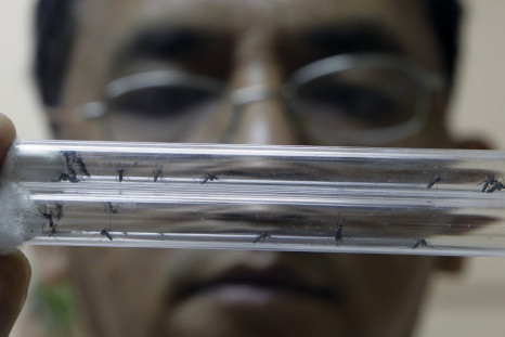 Seasonal Protection against Malaria Could Save Thousands of Life