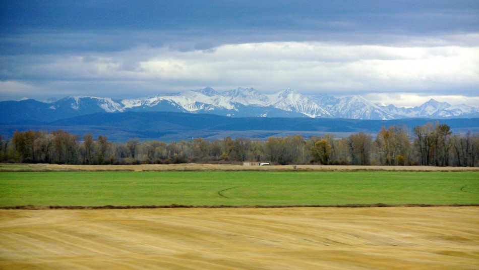 2. Montana