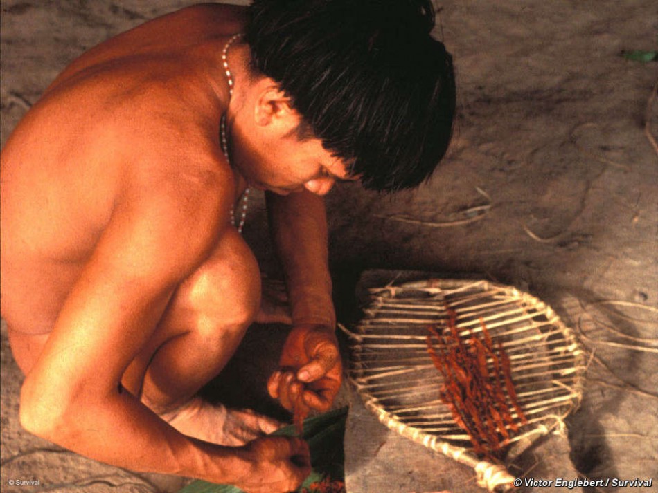 Rare Aerial Footage Showing Uncontacted Yanomami Indian Tribe in Brazil Released